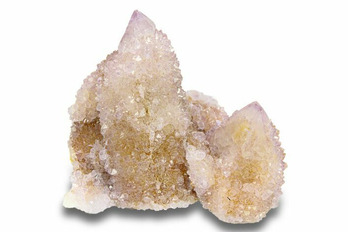 Cactus Quartz (Amethyst) Crystal Cluster - South Africa #281897